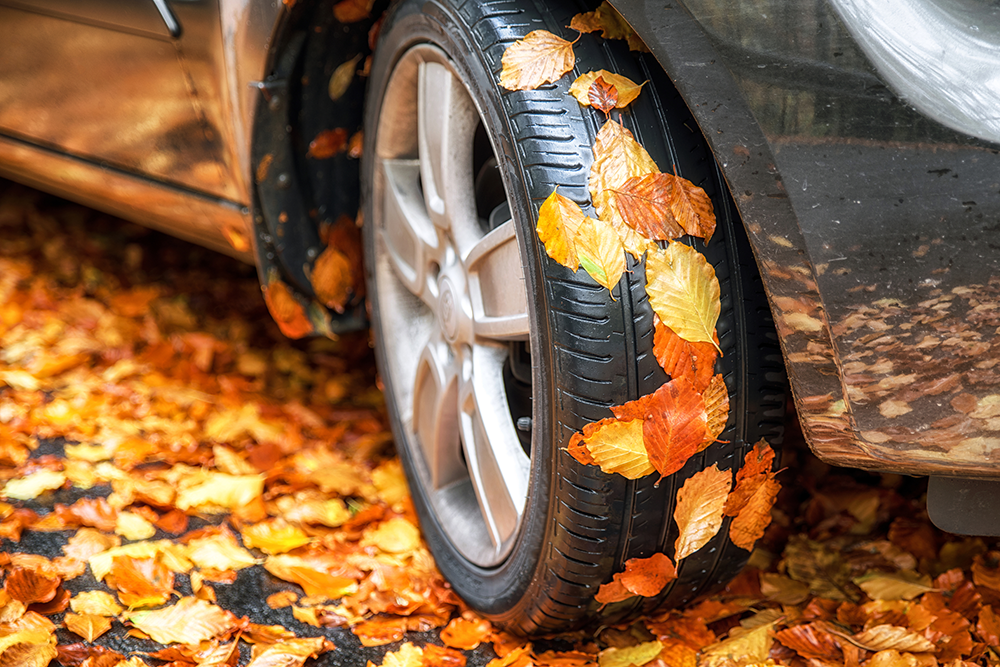 Are your tires ready for autumn's rainy weather?