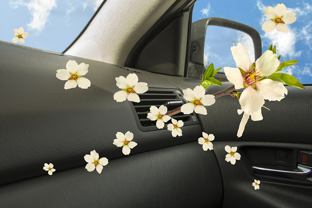 Keep your vehicle smelling springtime fresh