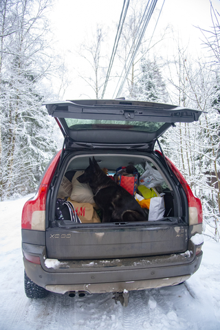 Emergency trunk essentials for cold weather driving