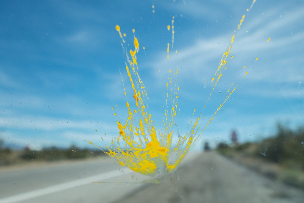 Don’t Let Pesky Bugs Make A Sticky Mess Of Your Ride 