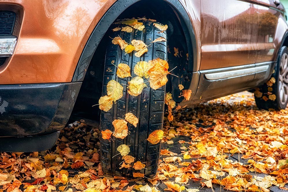 Roll Into The Change Of Seasons With Renewed Confidence