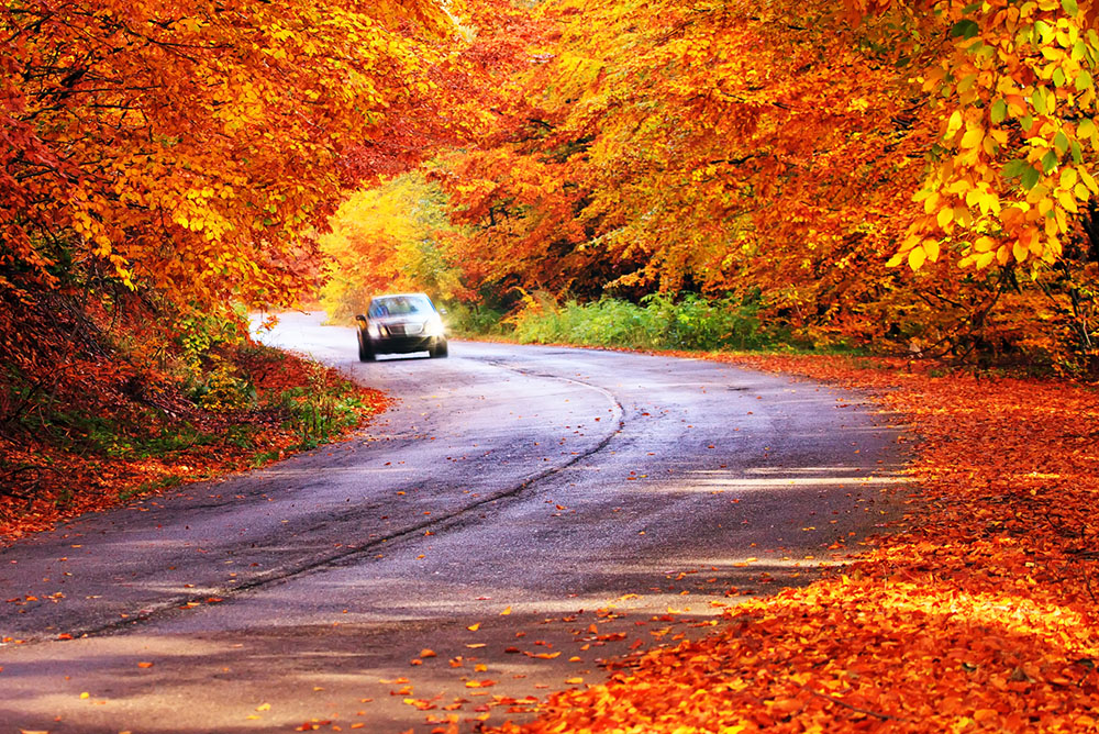 The Road Ahead: Preparing Your Vehicle For Shorter Days, Longer Nights