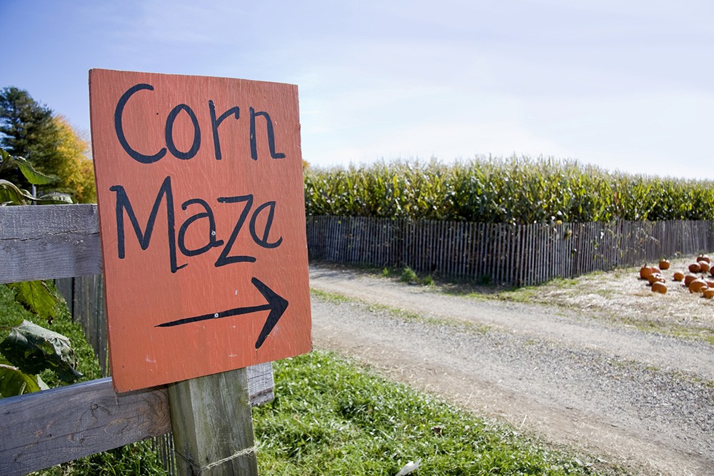 Miles Of Mazes: Find Fall Adventure In Farm Country